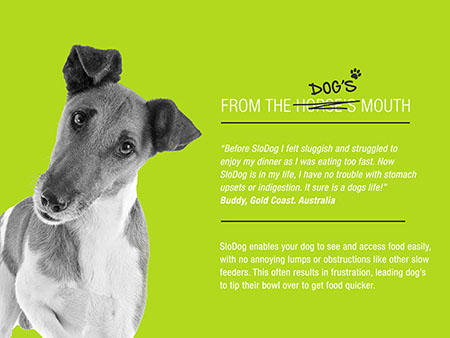 Pet Product Website Design Gold Coast